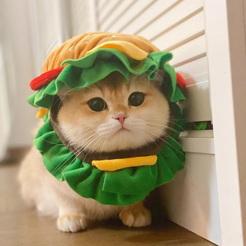 Cute Burger Headpiece for Cats and Small Dogs - Pet Costume