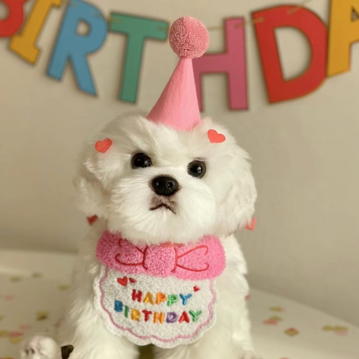 Korean Dog Party Birthday Hat and Bib Set for Pets - Yellow