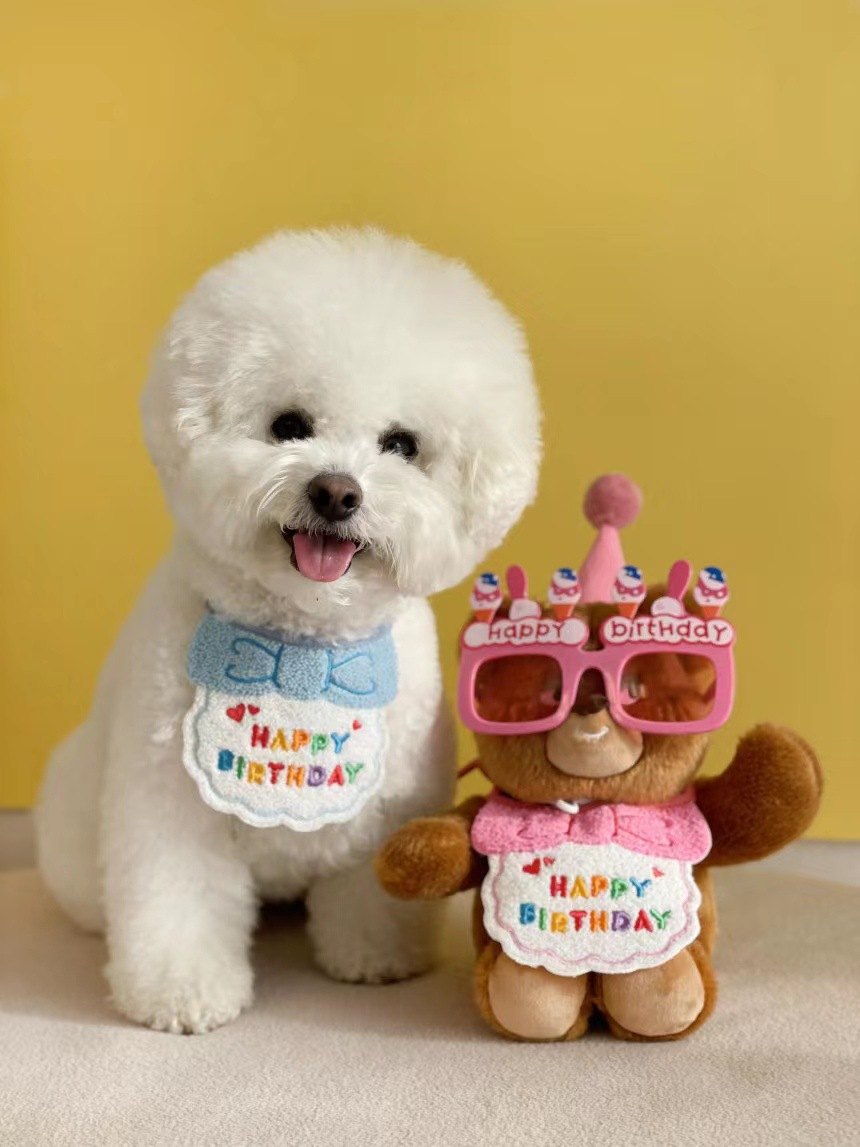 Korean Dog Party Birthday Hat and Bib Set for Pets - Blue