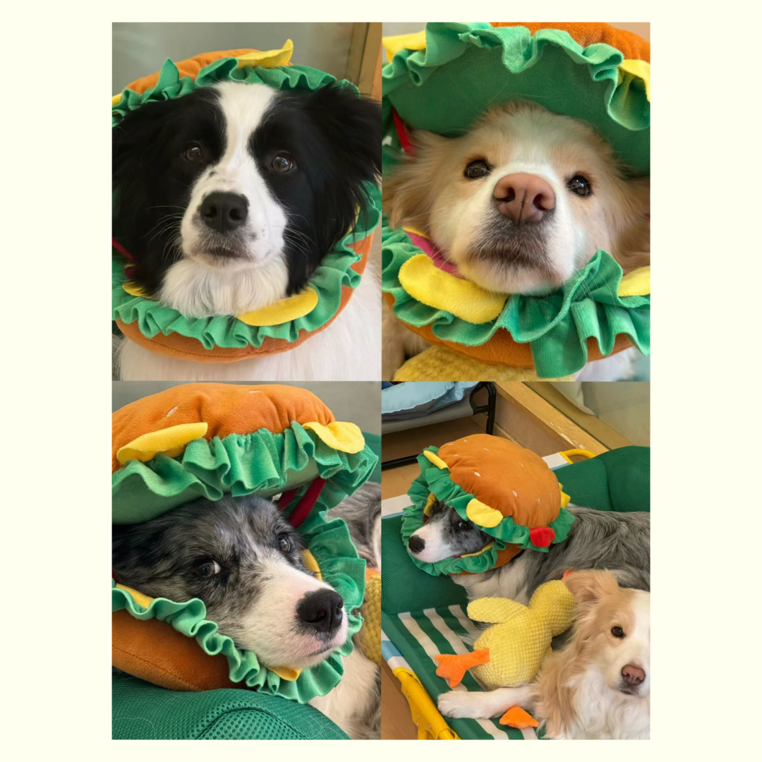 Cute Burger Headpiece for Cats and Small Dogs - Pet Costume