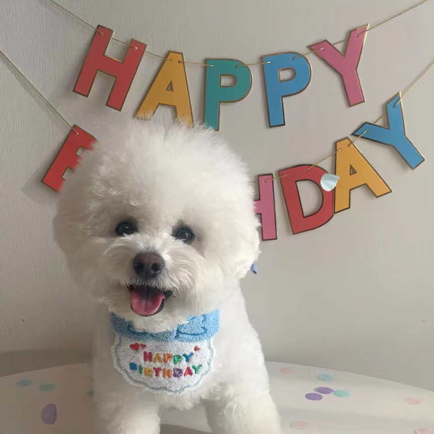 Korean Dog Party Birthday Hat and Bib Set for Pets - Pink