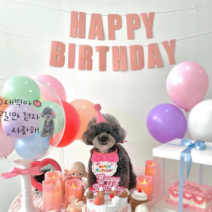 Korean Dog Party Birthday Hat and Bib Set for Pets - Pink