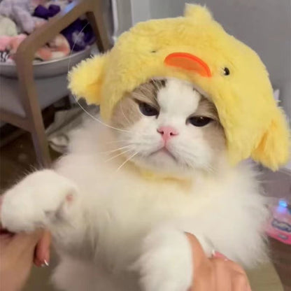 Cute Chick Hat for Cats and Dogs - Chick