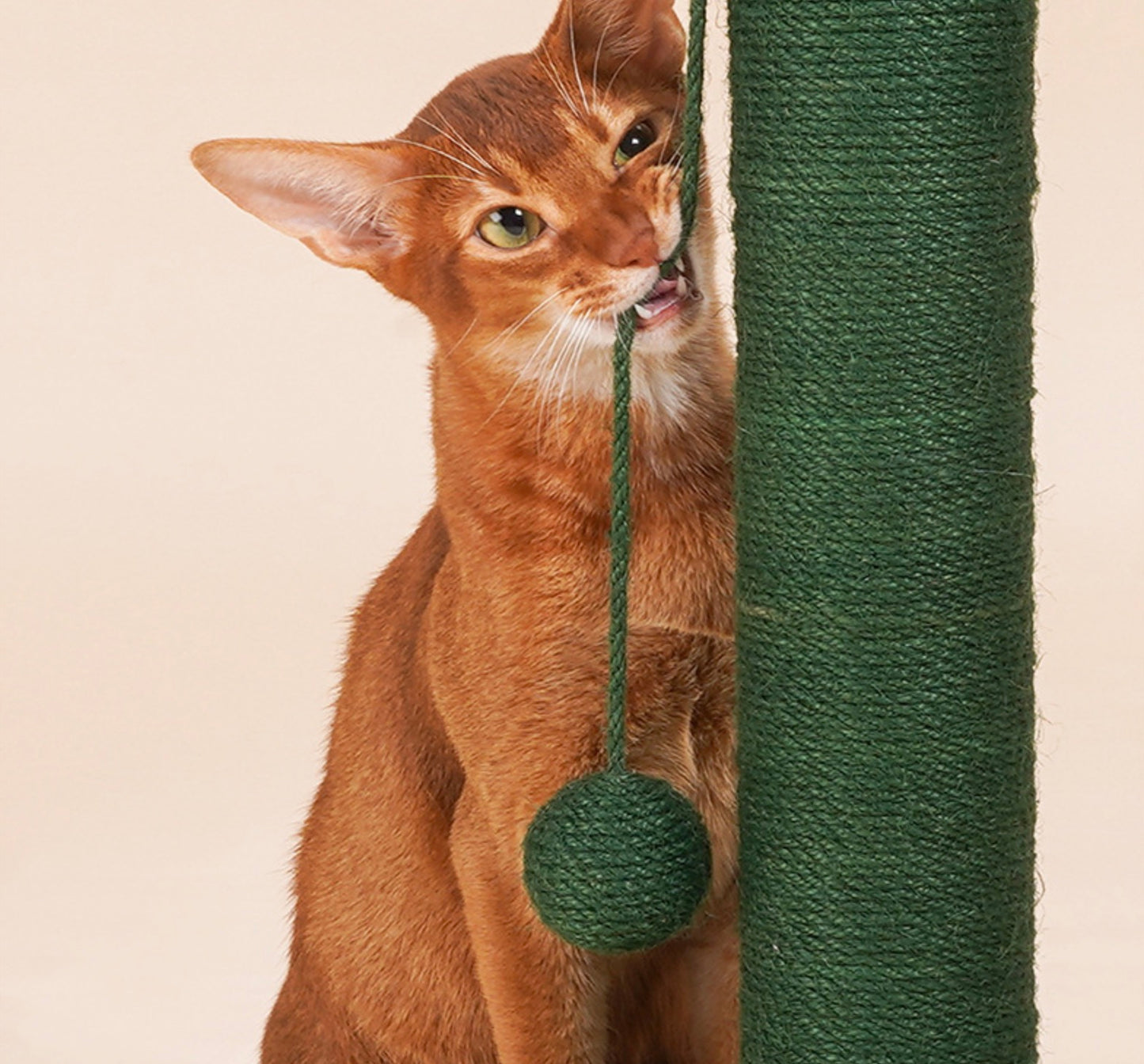 ZEZE Cactus Cat Scratching Post with Catnip Toy