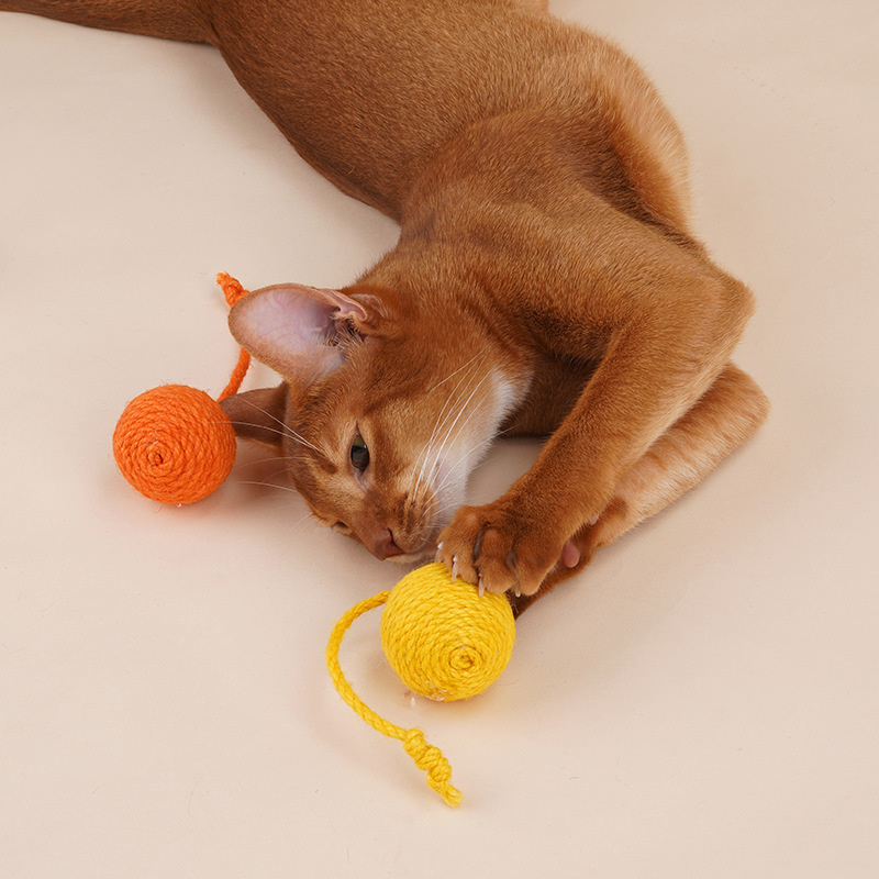 ZEZE Catnip Ball and Teaser Rope Toy Set for Cats (3-Pack)