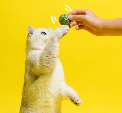 ZEZE Green Pea Sisal Ball Cat Toy (3 in 1)