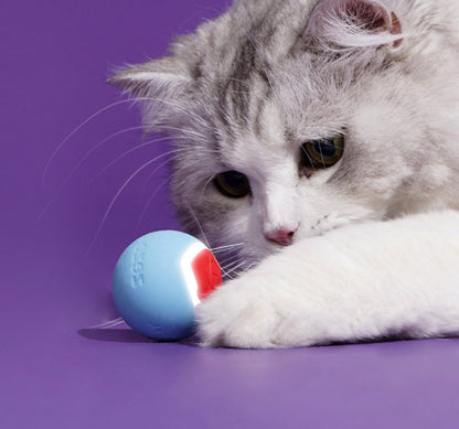 ZEZE Smart Rolling Ball Toy for Cats