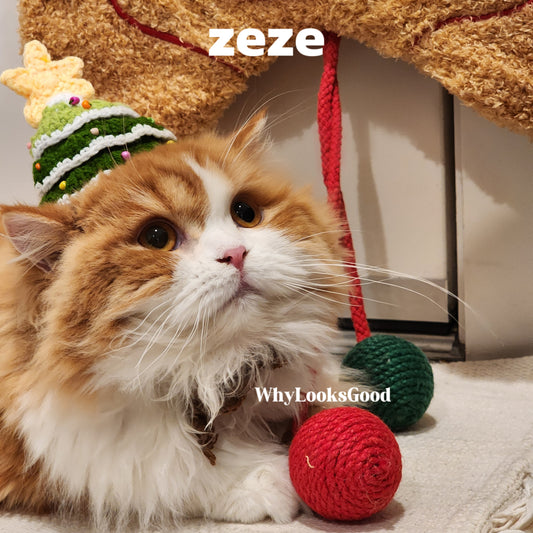 ZEZE Christmas Hat for Cat and Dogs