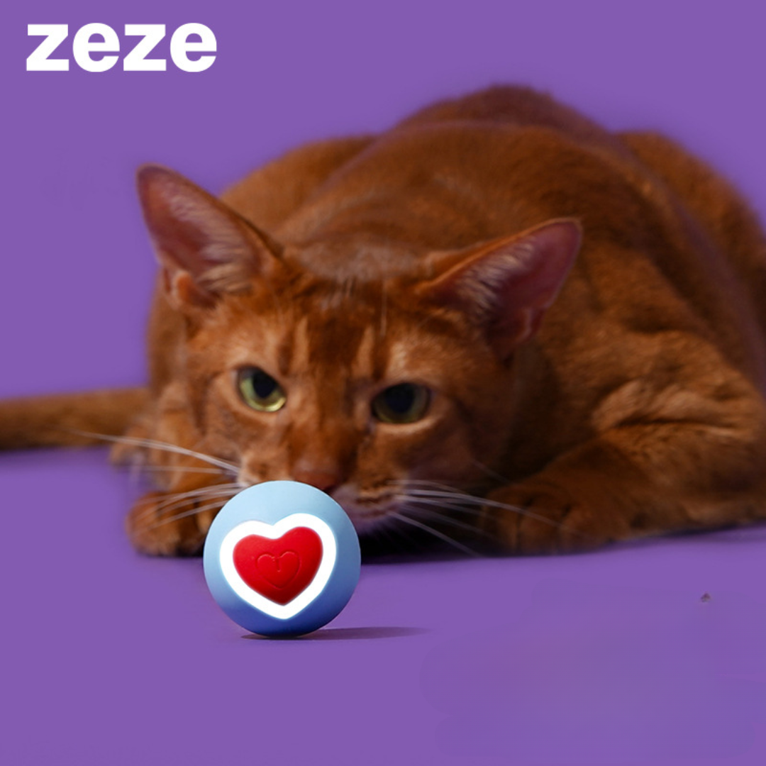 ZEZE Smart Rolling Ball Toy for Cats