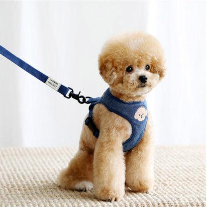 Blue Dog Leash and Harness Set