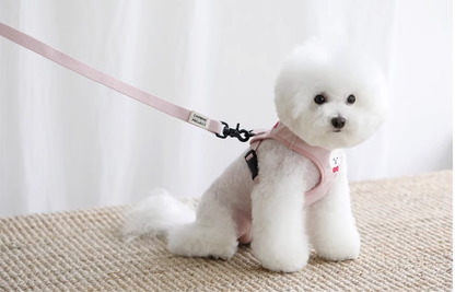 Pink Dog Leash and Harness Set